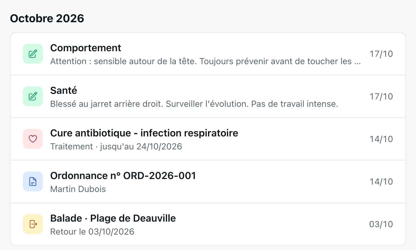 Carnet du cheval : notes de comportement et de santé, traitement en cours, ordonnance et sorties d’octobre